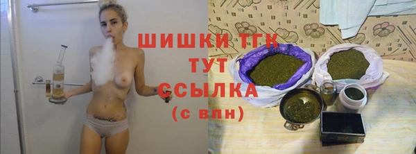 гашик Ессентукская