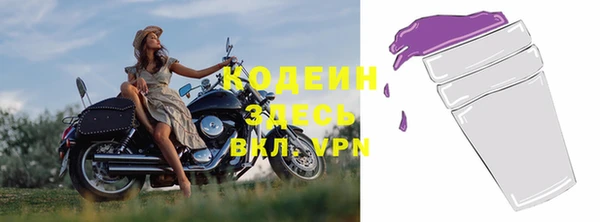 гашик Ессентукская