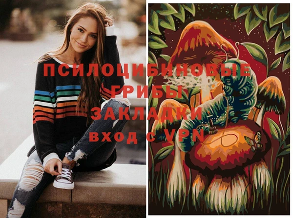 шишки Новосибирск
