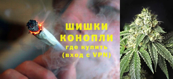 шишки Новосибирск