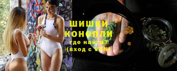 гашик Ессентукская
